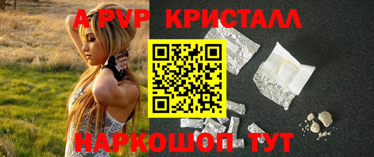 Альфа ПВП СК Нальчик