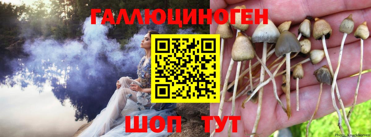 Галлюциногенные грибы мухоморы Нальчик
