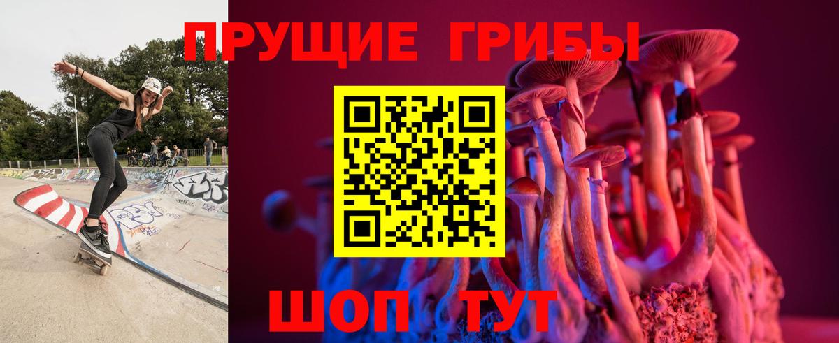Псилоцибиновые грибы GOLDEN TEACHER  Псилоцибиновые грибы мицелий  Нальчик  Вход с VPN 